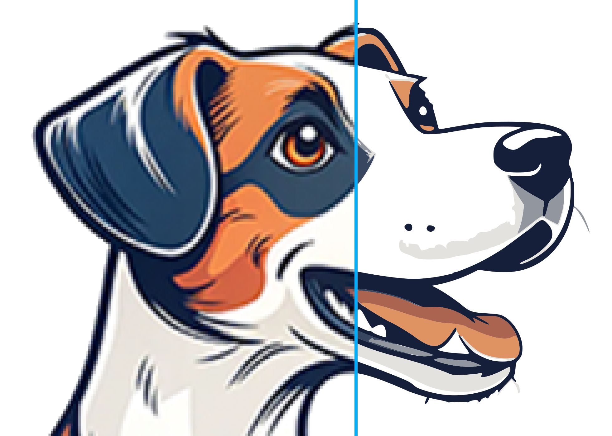 vector